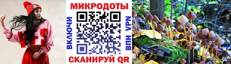 Псилоцибиновые грибы мухоморы Купить где Благодарный